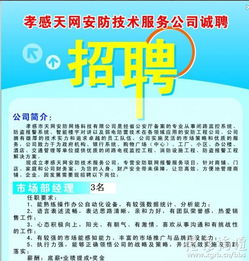 孝感天网安防技术服务公司诚聘技术服务精英